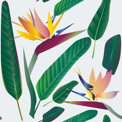 Strelitzia with leaves on a white background. Seamless pattern.T
