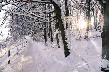 Walking promenade in Salzburg, snowy winter landscape