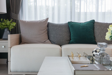 modern living room with modern sofa