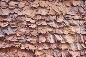 Texture  Layer dried leaves on wall with seamless patterns , Traditional thai design nature background