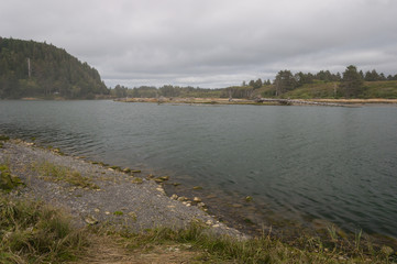 Grass, lake and wooden stems in La Push beach area, La Push, WA