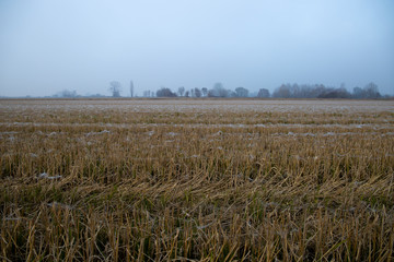 fields taken from below in the autumn