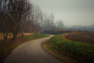 Fototapeta premium Asphalt country road in autumn with fog