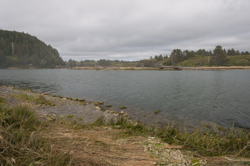 Lake, grass, and wooden stems in La Push beach area, La Push, WA