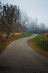 Fototapeta na wymiar Asphalt country road in autumn with fog
