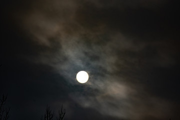 full moon in the sky