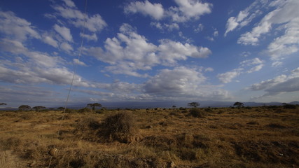 Tsavo Ost Nationalpark