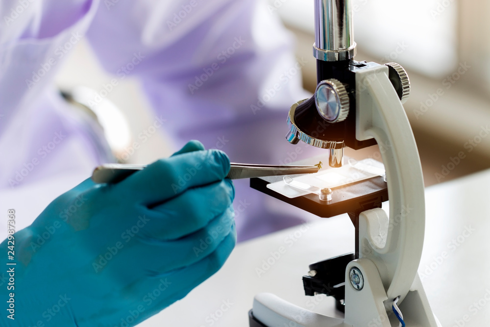 Wall mural close-up of scientist hands with microscope, examining samples in laboratory