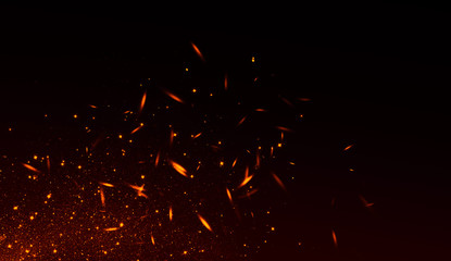 Realistic isolated fire effect  for decoration and covering on black background. Concept of particles , sparkles, flame and light.
