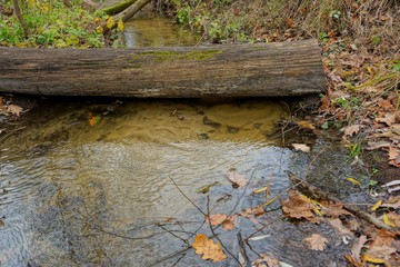 a large brown log lies in the water of a stream in the forest