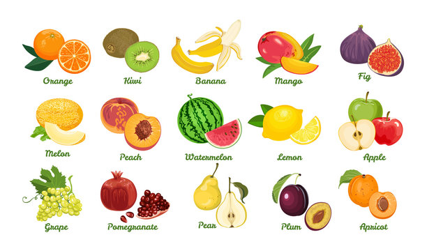 Set of fruits isolated on white background. Grape, Orange, Kiwi, Banana, Mango, Fig, Melon, Peach, Watermelon, Lemon, Apple, Pomegranate, Pear, Plum, Apricot. Vector bright color flat illustration.