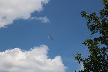 Segelflugzeug in der Luft