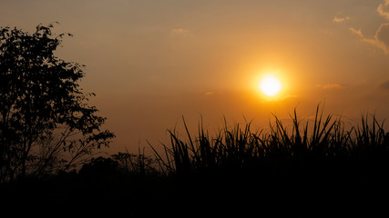 Obraz premium Ciemne sylwetki drzew i niesamowite zachmurzone niebo o zachodzie słońca o zmierzchu.