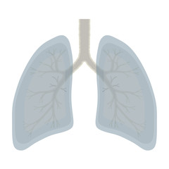 Human Lung anatomy illustration . Illness respiratory cancer gra