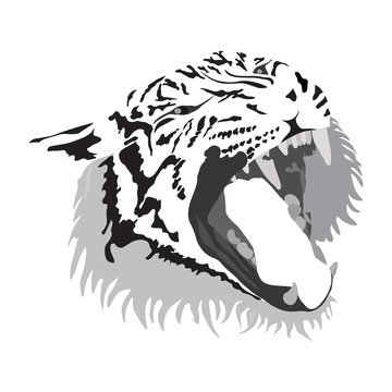 Tiger head, flat design, vector image