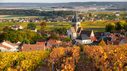 Champagne region visit card with autumn vineyards and village, France