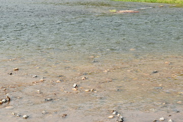 water flowing make wave and rippled on river