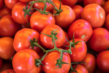 tomatoes on the vine
