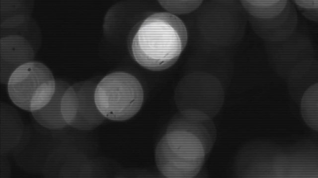 Dramatic black and white bokeh with interlaced scanlines retro VHS  backdrop
