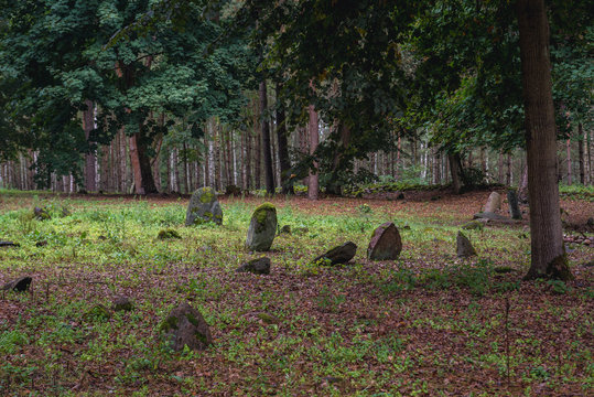 Old muslim graveyard in Kruszyniany, small village in Podlasie region of Poland