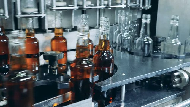 Empty and filled glass bottles are moving along the conveyor