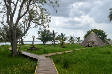 Tropical forest in Cuba
