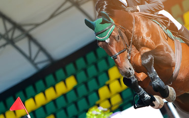 Sorrel dressage horse and rider in uniform performing jump at show jumping competition. Equestrian...