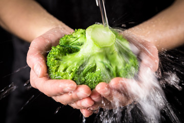washing the green broccoli in woman hands