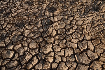 fracture soil in summer on wall