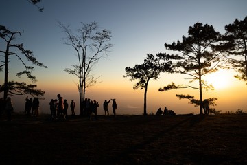 Image of sunrise on orange and yellow horizon with people's silhouette surrounded by pine trees ( Phu kradueng Thailand )