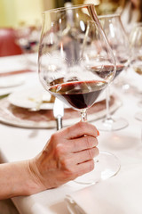 Many glasses of different wine in a row on a table. Tasting wine concept
