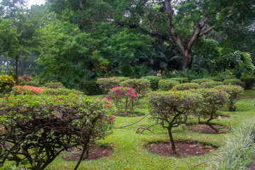 Beautiful garden at Casela Park in Mauritius