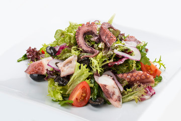 Salad with squid and octopus on a white background