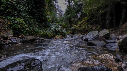 Naklejka na ściany i meble Stream in a forest