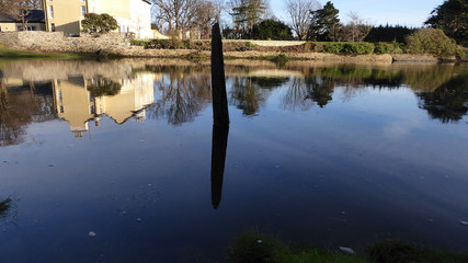 reflection of trees in lake