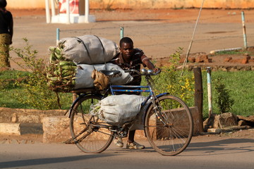 Transport auf Fahrrädern in Malawi - obrazy, fototapety, plakaty
