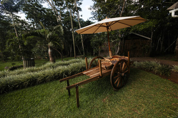 On a flat lawn among trees stands a cart where there is sand