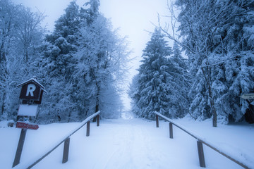 Rennsteig am Inselsberg im Winter