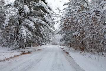 Snowy Road