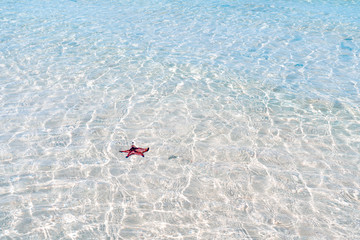 Starfish beach, Phu Quoc, Vietnam