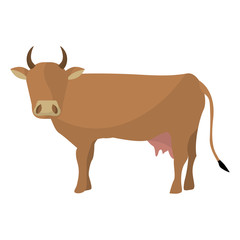 Indian brown cow