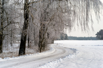 Piękna zima na Podlasiu © podlaski49