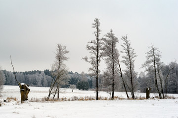 Piękna zima na Podlasiu © podlaski49