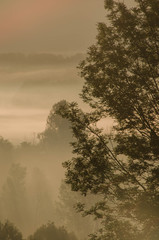Fototapeta premium Misty morning