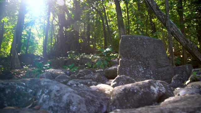 Carved stone petroglyph ruins sacred Banyan Tree Marquesas