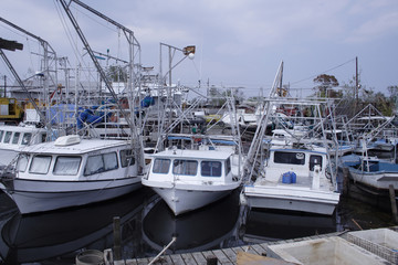 Fototapeta premium hurricane Katrina New Orleans