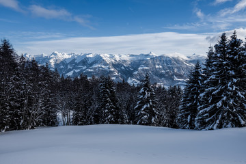 Fototapeta na wymiar Aussicht vom Glaubenbergpass an einem kalten Wintertag, Obwalden/Schweiz/Europa
