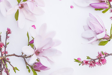 Beautiful pink magnolia flowers on white background with copy space