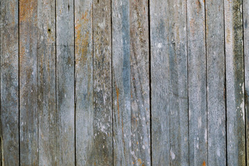 Old & grunge wood texture background