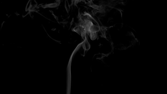 Twisting of Smoke Rolls. White clearly expressed smoke slowly rises from the bottom of the screen and forms elegant twists on a black background. Filmed at a speed of 240fps